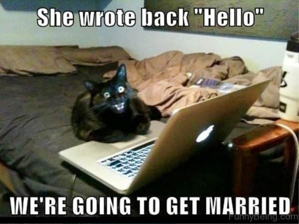 We're going to get married joke meme