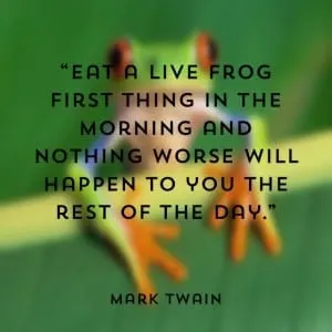 Eat that Frog - Mark twain
