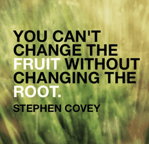You can’t change the fruit without changing the root