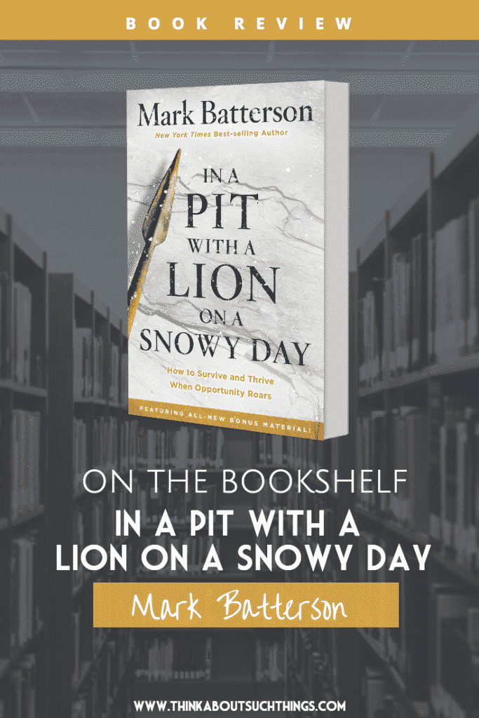 in a pit with a lion on a snowy day
