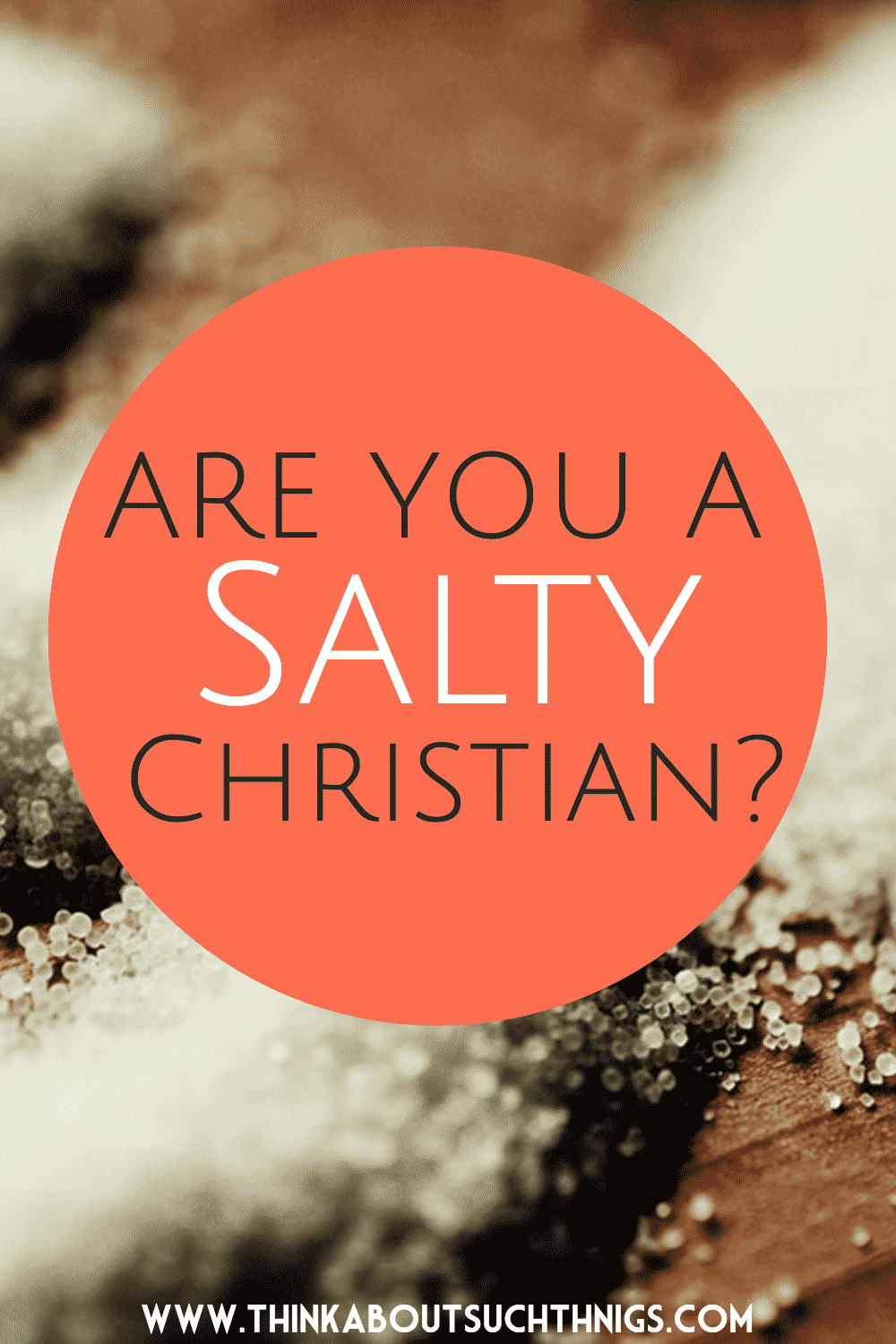 Salt Of The Earth The Bible's Meaning To Being A Salty Christian