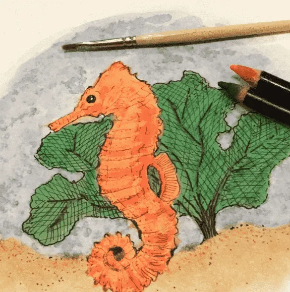 watercolor - Draw 50 Sea Creatures