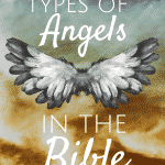 Have you ever wondered what the Bible says about angels? If you study you will see that there are 5 types of angels! How cool!