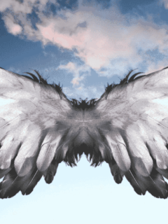 Learn how to Release God’s Angels in your lif