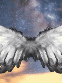 Understand the work and ministry of angels