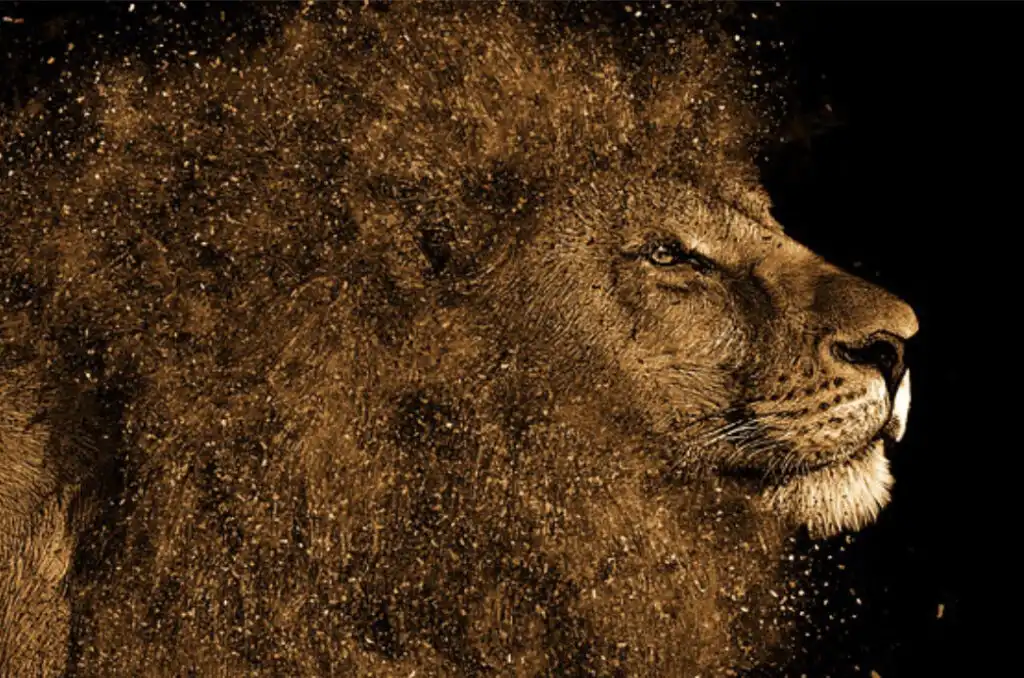 Christian Leadership: 5 Crucial Principles to Remember