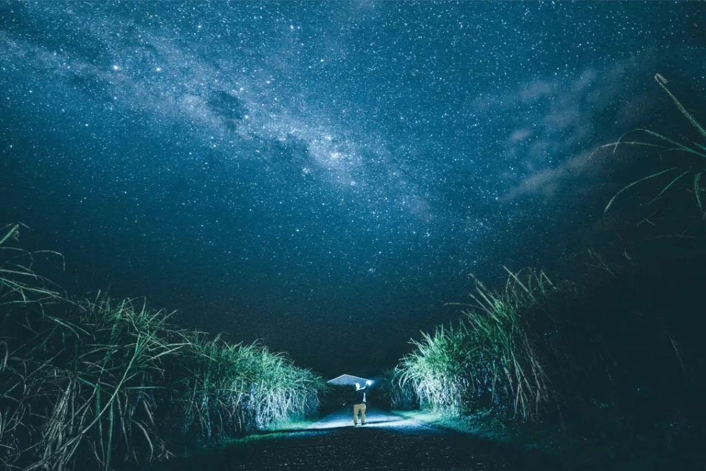 Does God speak to us in dreams?