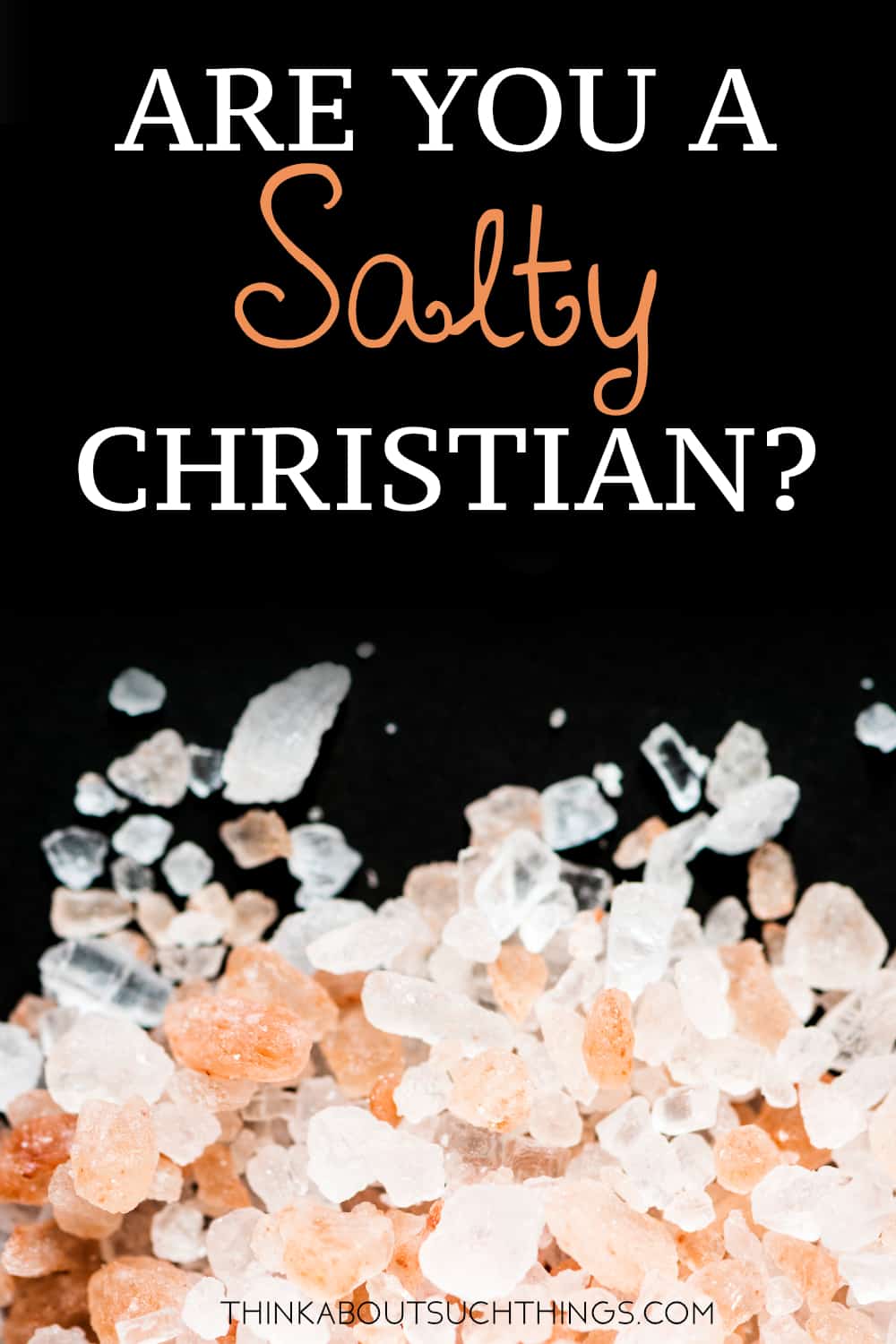 Salt Of The Earth The Bible's Meaning To Being A Salty Christian