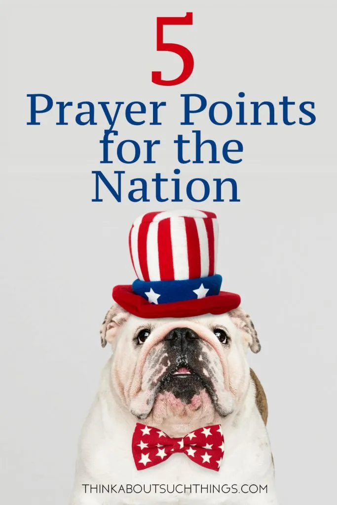 Pray for America like a prayer warrior! Learn 5 key prayer points to usher in revival for our nation! 