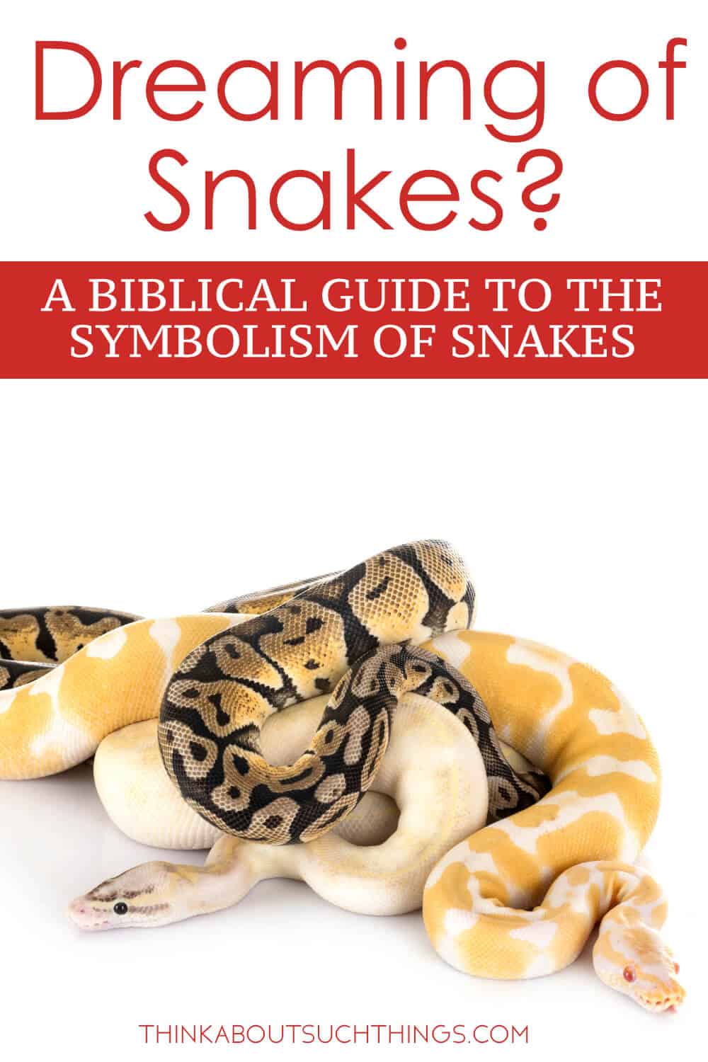 the-biblical-meaning-of-snakes-in-dreams-think-about-such-things