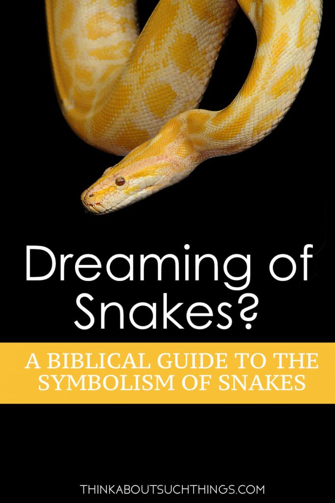 The Biblical Meaning Of Snakes In Dreams | Think About Such Things