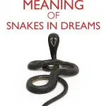 Biblical and spiritual meaning of snakes in dreams