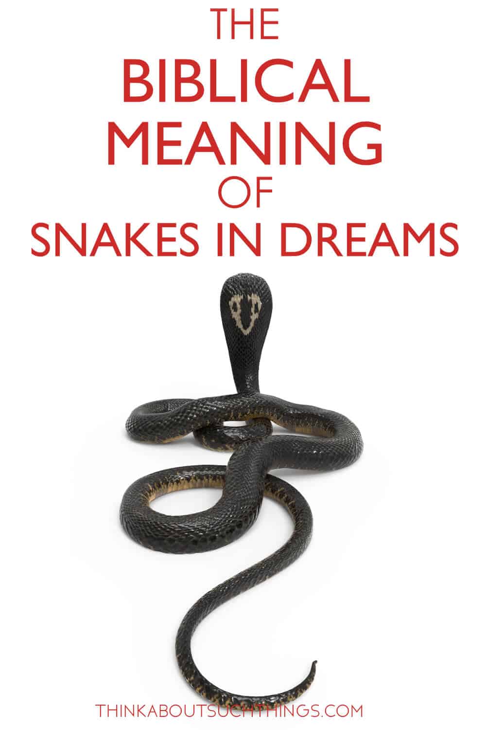 free download dreaming of snakes