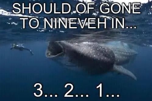 Jonah and the whale meme