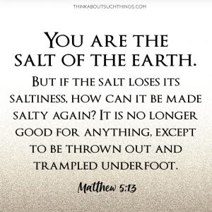 Salt Of The Earth: The Bible's Meaning To Being A Salty Christian ...