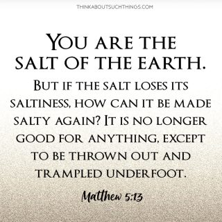 Salt Of The Earth: The Bible's Meaning To Being A Salty Christian ...