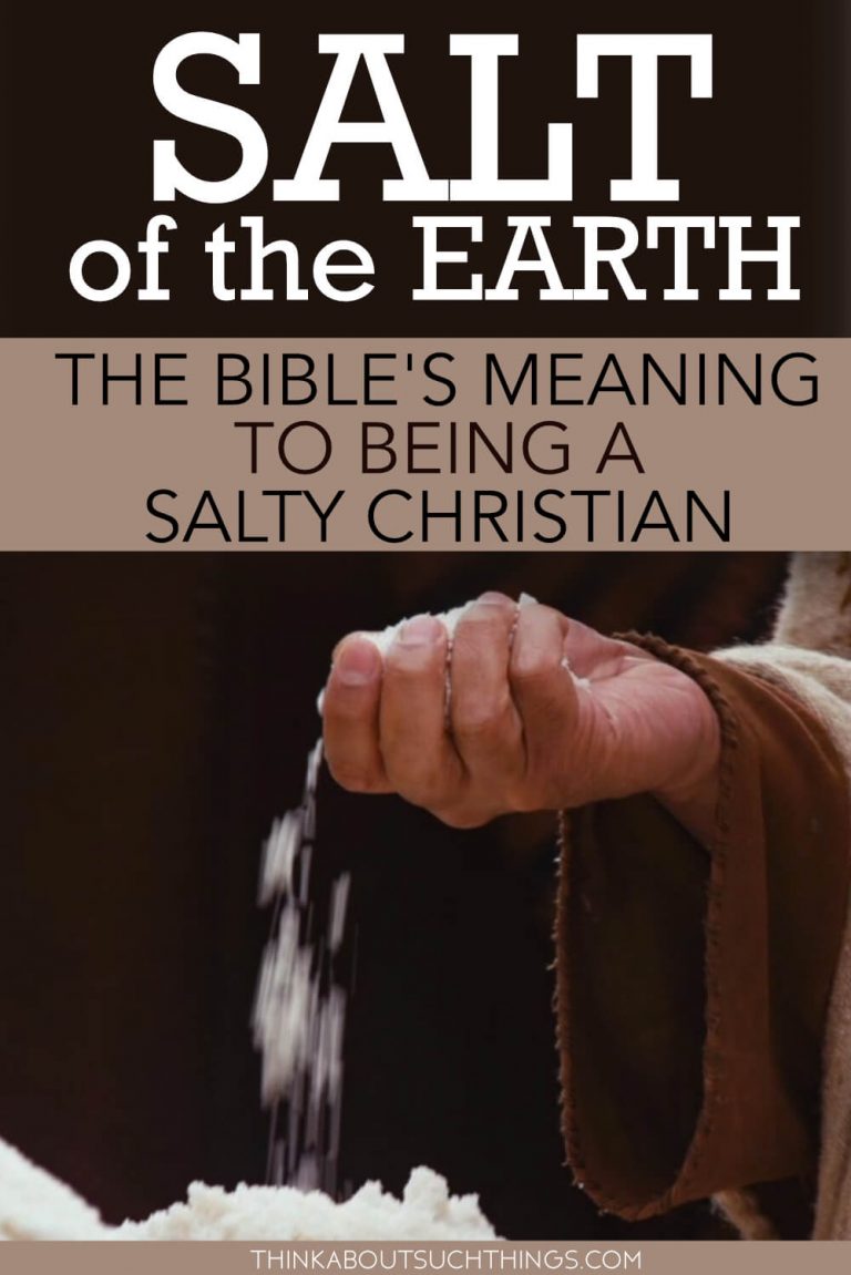 Salt Of The Earth The Bible's Meaning To Being A Salty Christian