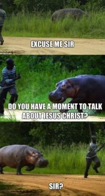 Funny Christian Meme with hippo