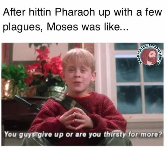 Bible Moses Meme 