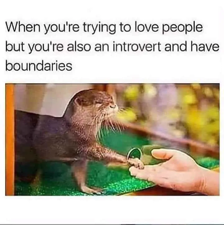 Introverts meme