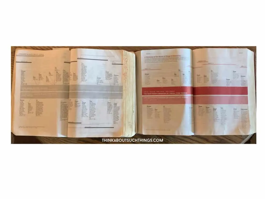Bible Timeline from Life Application Bible