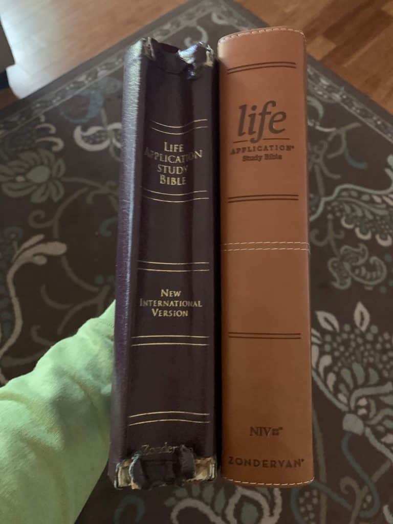 Side by side NIV application Bible