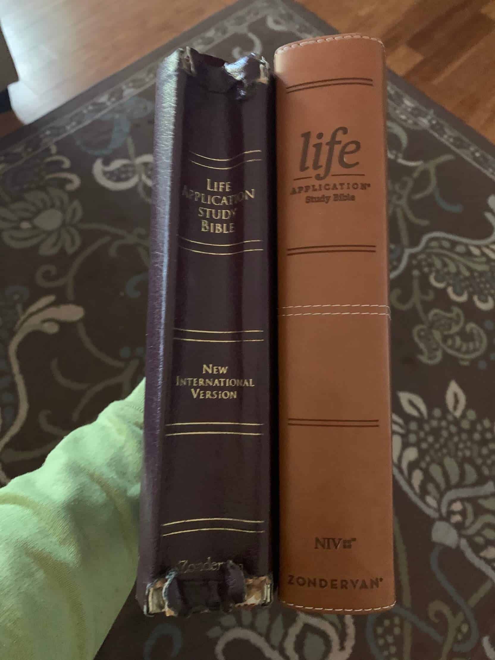 The New Life Application Study Bible Review NIV Think About Such Things   IMG 2055 