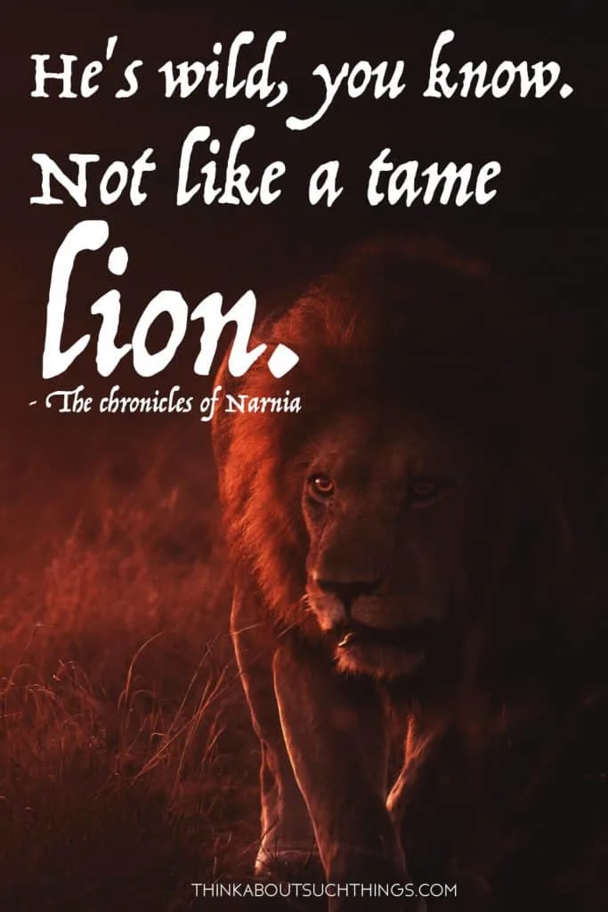 Aslan Quote 