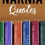 Quotes from the Narnia Series 📚 🦁📯🏰 May they inspire you with childlike  faith. – Stay High
