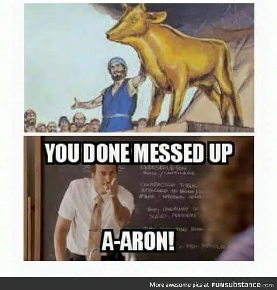 Bible Aaron meme 