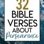 Bible Verses about Perserence Pin 1