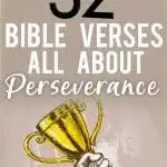 Verses on Perseverance