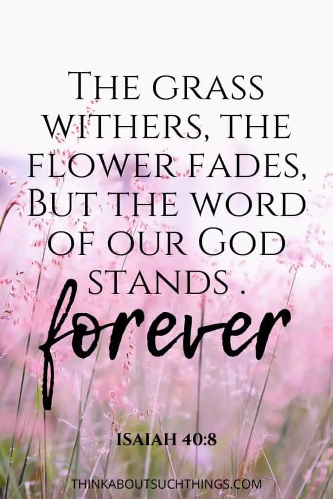 Isaiah 40:8 - flowers fade but the word of God stands forever
