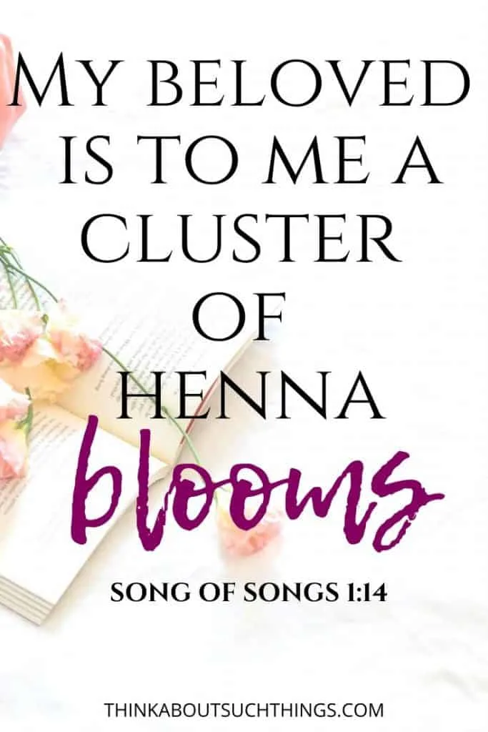 Bible Verses about Flowers - Song of Songs 1:14  My Beloved is to me a cluster of henna blooms