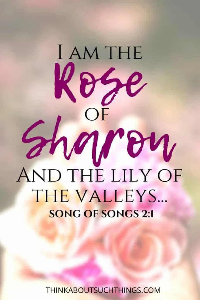 Bible verses about roses - Song of songs 2:1 "I am the rose of sharon and the lily of the valleys."