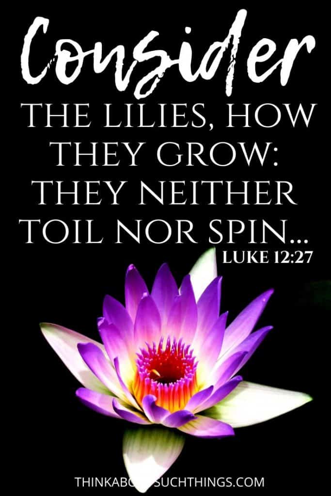 25 Interesting Bible Verses About Flowers Think About Such Things 2023   Bible Verses About Flowers 4 683x1024 