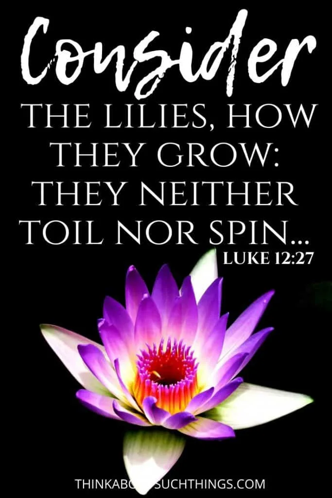 25 Interesting Bible Verses About Flowers Think About Such Things