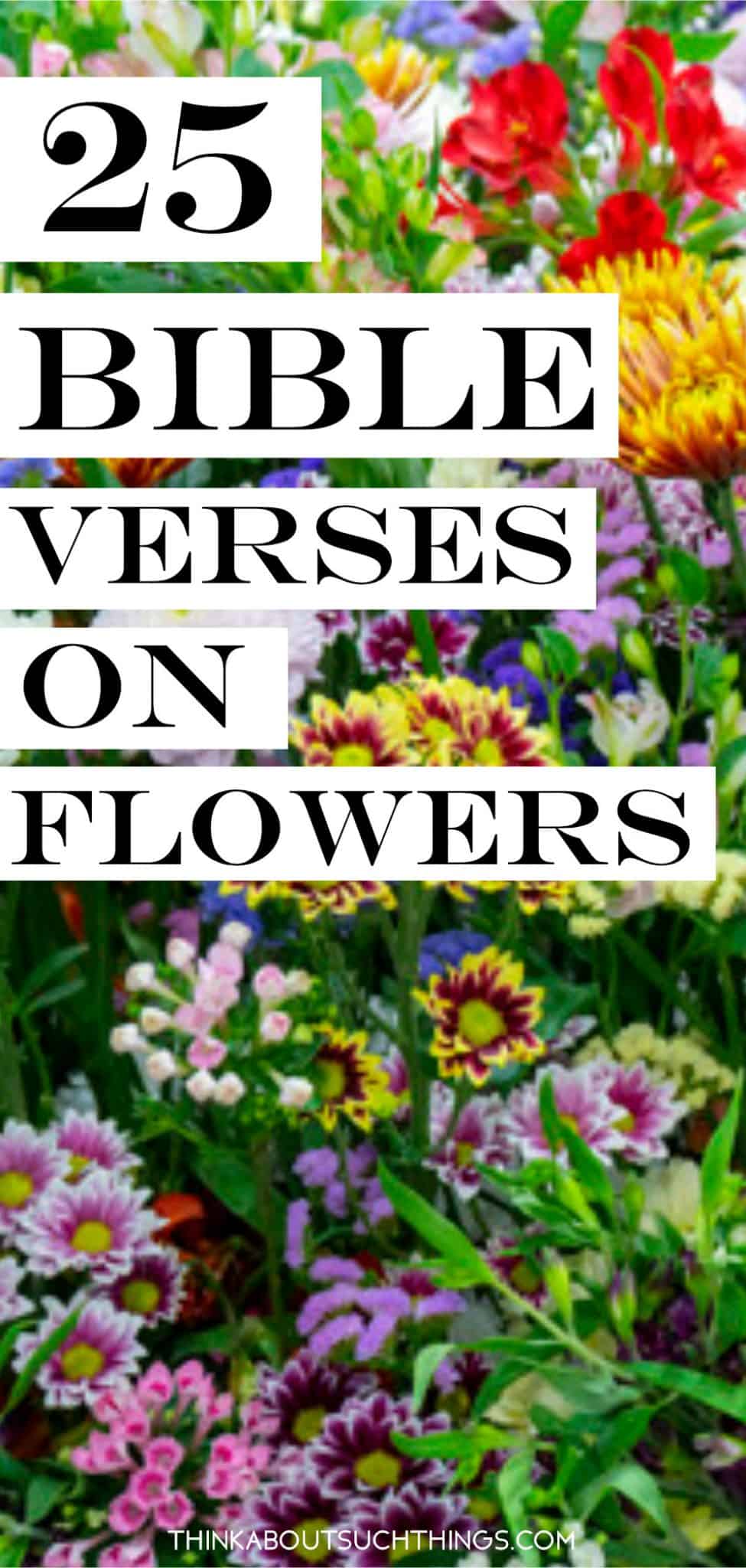 25 versets bibliques intéressants sur les fleurs - Romantikes