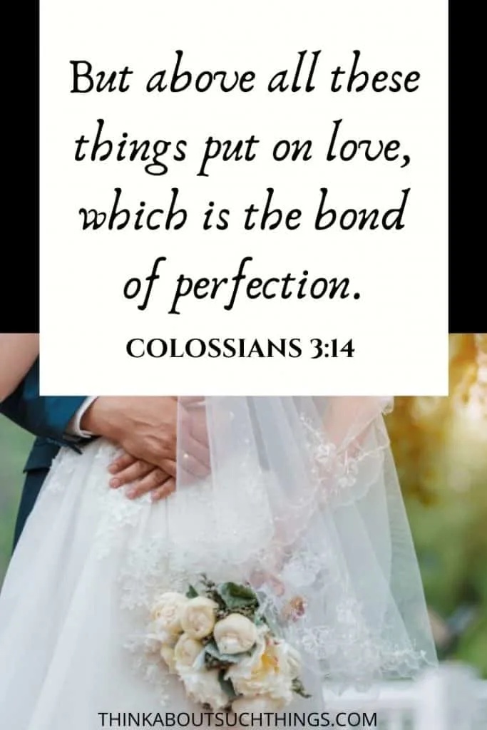 Wedding verses for ceremony - Colossians 3:14 "But above all these things put on love, which is the bond of perfection."