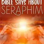 Seraphim Bible Study