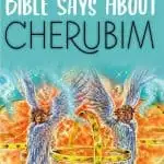 Cherubim - Bible Study