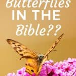 Are Butterflies in the Bible