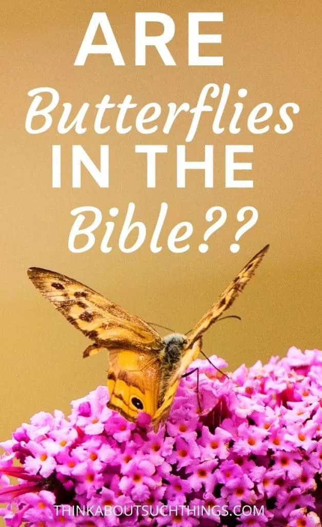 Are Butterflies in the Bible