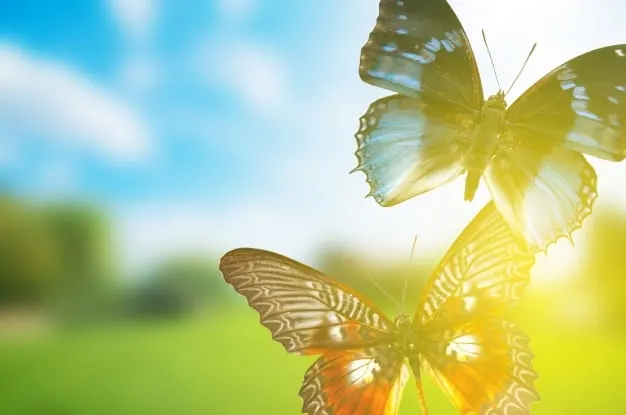 butterflies in dreams meaning