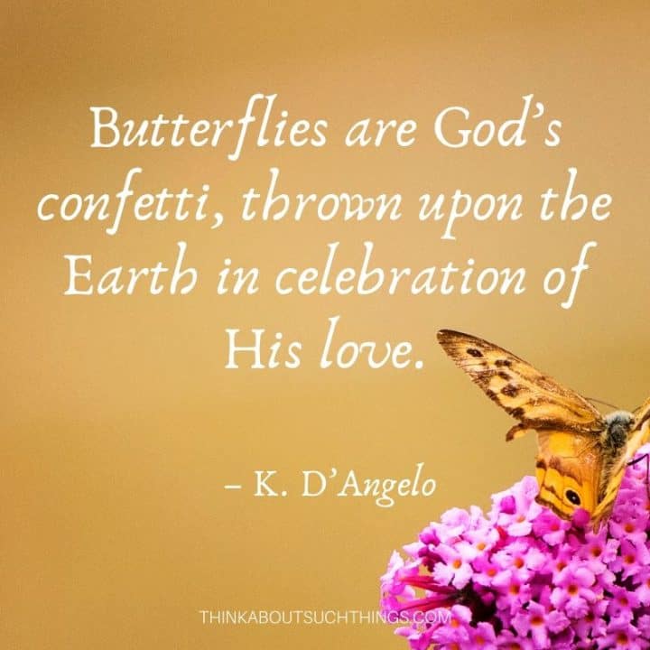 37 Inspirational Butterfly Quotes To Lift Up Your Day Think About