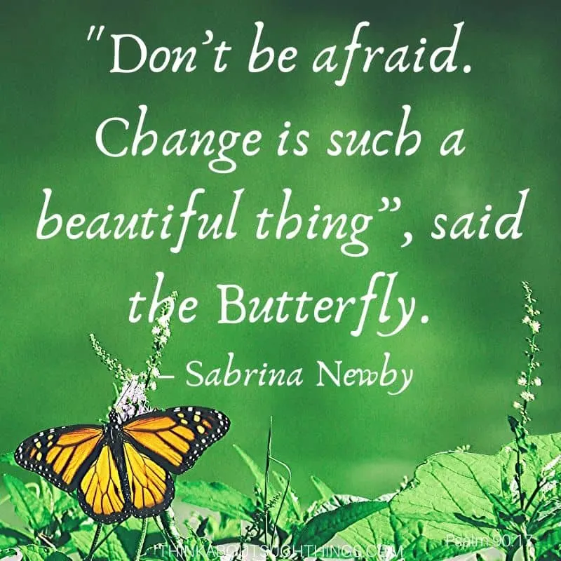 Inspiring and beautiful butterfly quote