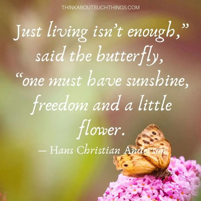 Hans Christian Anderson Butterfly Quote
