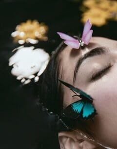 Dreams about butterflies