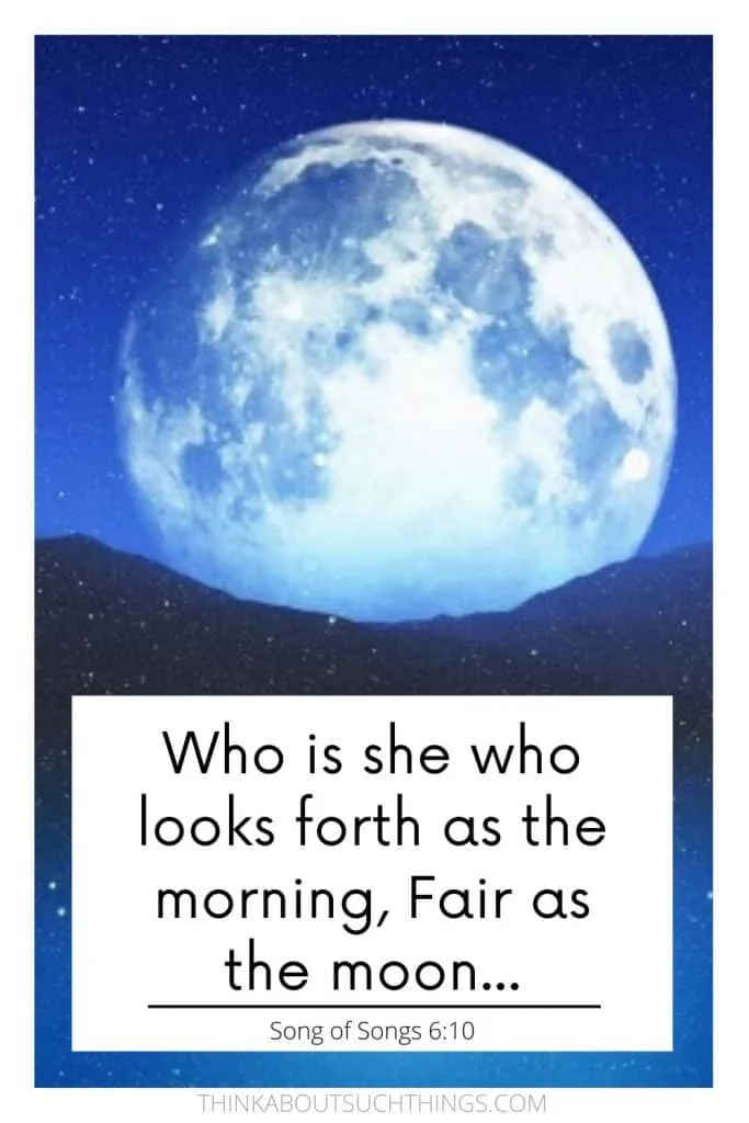 Bible quotes about the moon - Song of Songs 6:10