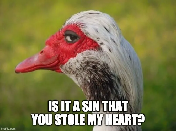 Funny Christian Pickup Lines